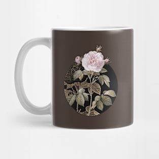 Vintage Vintage Rosa Alba Botanical Illustration on Circle Mug